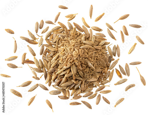 caraway isolated on white background, cut out, top view  photo