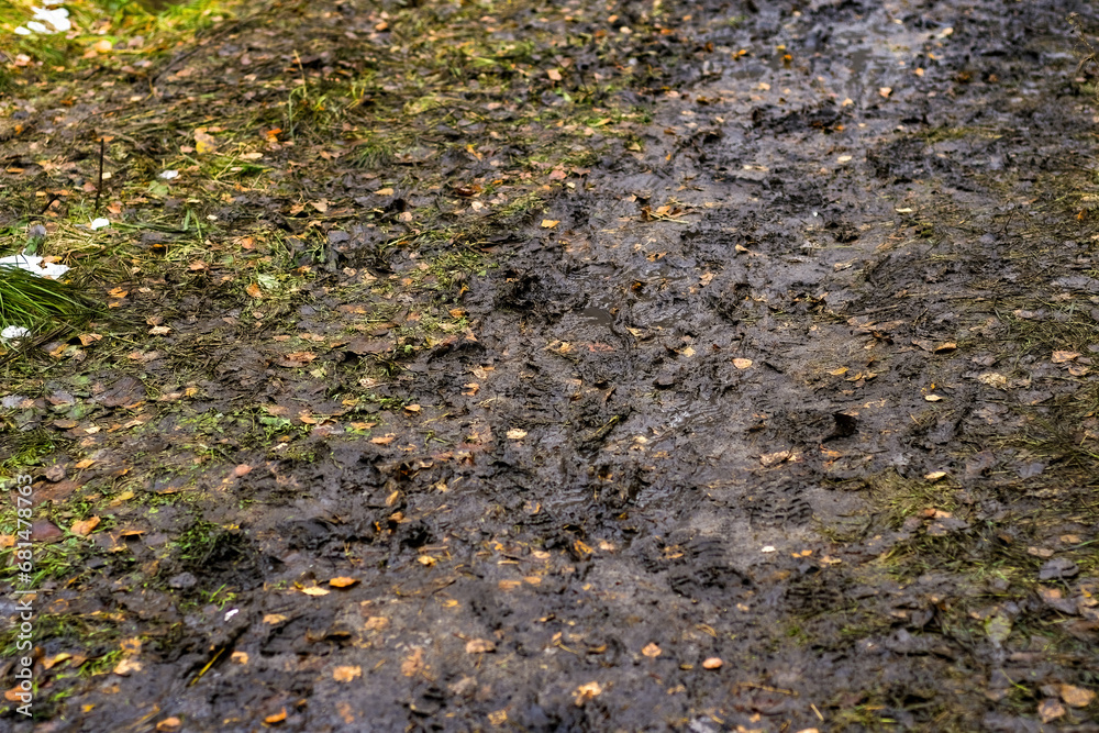 Autumn mud with water and yellow leaves. Shoe prints on rain-washed ground. Autumn mud with water and yellow leaves. Shoe prints on rain-washed ground.
