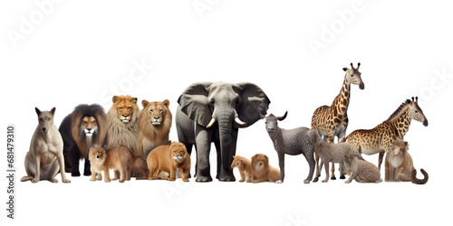 group of animals © andycr