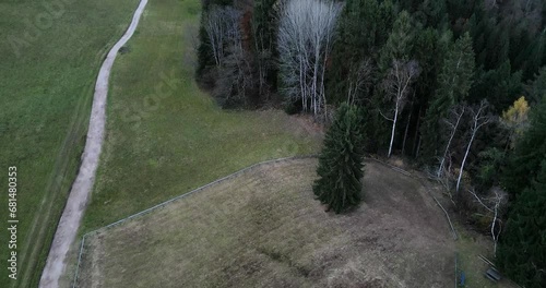 Aerial panorama of Pedavena forest.
Dolomites in the distance, autumn foliage photo