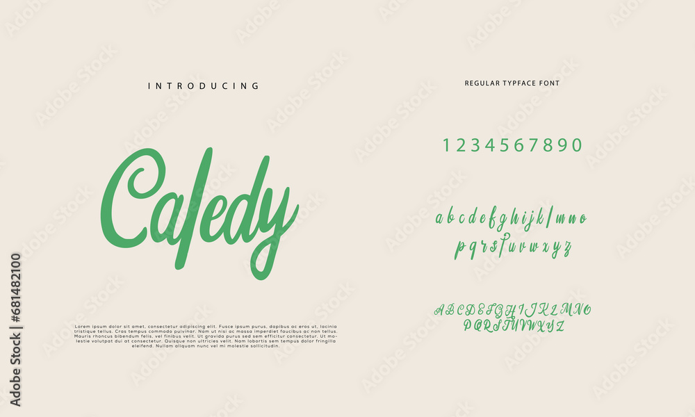 Fototapeta premium Handwritten Script font. Hand drawn brush style modern calligraphy cursive typeface. Hand Lettering and Custom Typography alphabet for Designs: Logo, Greeting Cards, Poster. Vector Brush type set. 