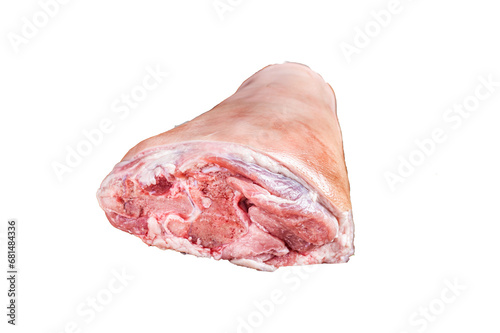Raw pork shank knuckle in a steel tray with herbs.  Transparent background. Isolated.