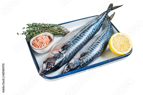 Raw mackerel scomber fish with ingredients for cooking in baking dish.  Transparent background. Isolated. photo