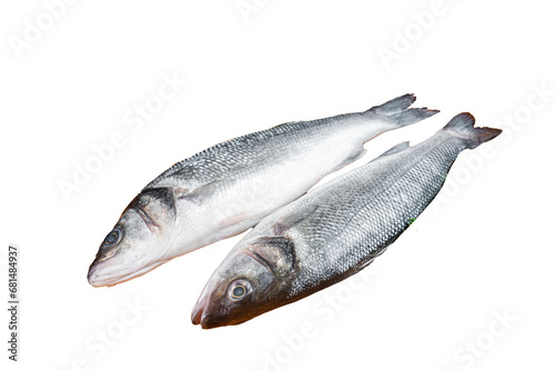 Raw Sea Bass fish with lime and herbs. Transparent background. Isolated. photo