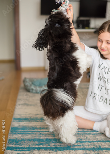 Girl with a dog. 9-Year-Old Girl Playing with Her Small Dog at Home