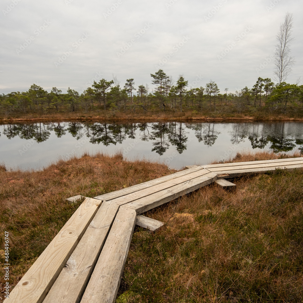 Fototapeta premium Rustic Refuge: Embrace Nature's Charm Along the Wooden Swamp Trail