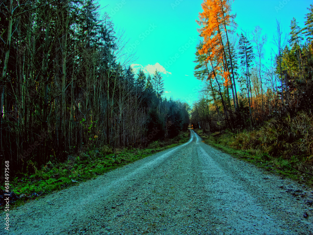 Obraz premium Herbst 2023