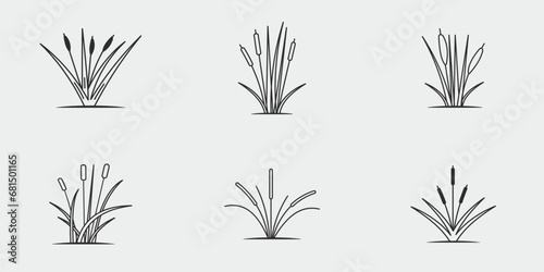 set of icon cattails line art vintage vector illustration template icon graphic design photo
