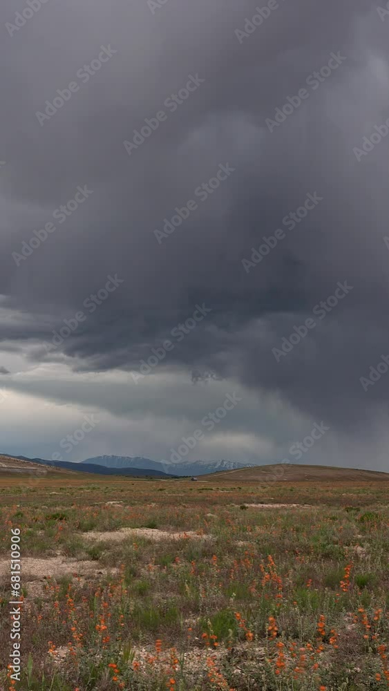 Vertical Timelapse of rainstorm moving over the Utah desert with field of orange flowers in the landscape. Vertical Timelapse of rainstorm moving over the Utah desert with field of orange flowers in the landscape.