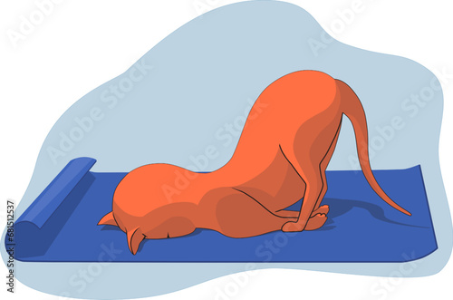Funny ginger cat fell asleep while doing yoga on a blue yoga mat