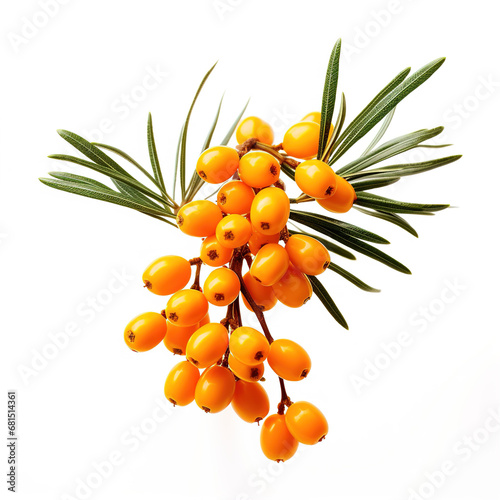 Sea buckthorn isolated on the white. Generative Ai. 