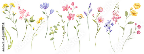 Wild flowers set, watercolor digital illustration. Perfectly for poster, card design. Mother's Day, Birthday, Valentine's day decoration. #681517134