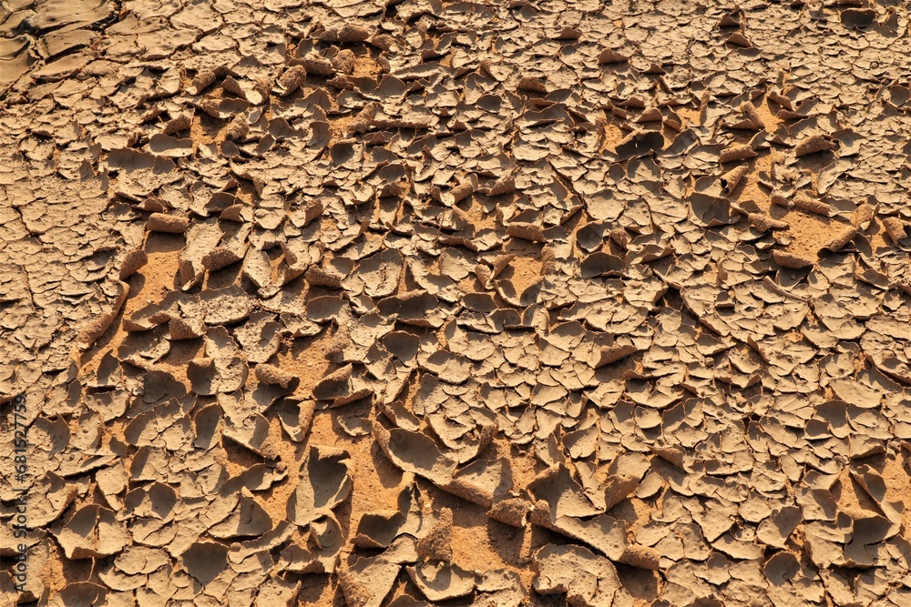 Lake area has turned into a desert due to climate change. Soil crusting due to drought. Lake area has turned into a desert due to climate change. Soil crusting due to drought.
