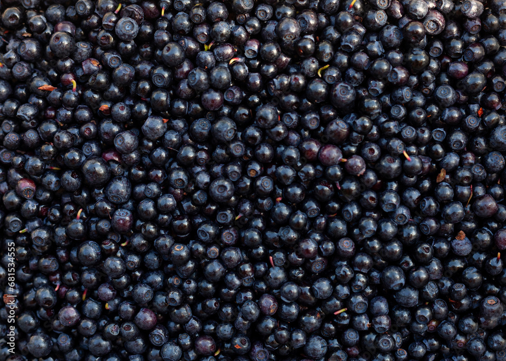 Full frame shot of blueberries Full frame shot of blueberries