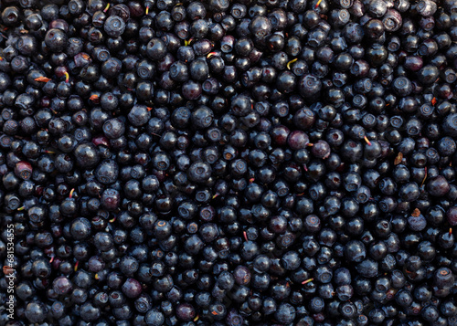 Full frame shot of blueberries photo