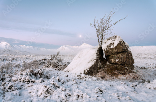 Rannoch Winter