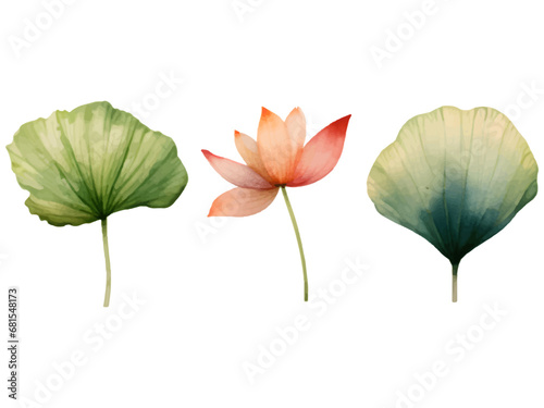 Collection of Watercolor Lotus leaf illustrator vector