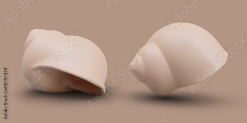 Collection of twisted shell on brown background with shadow. Mediterranean objects in different positions in beige colors. Vector illustration in 3D realistic style