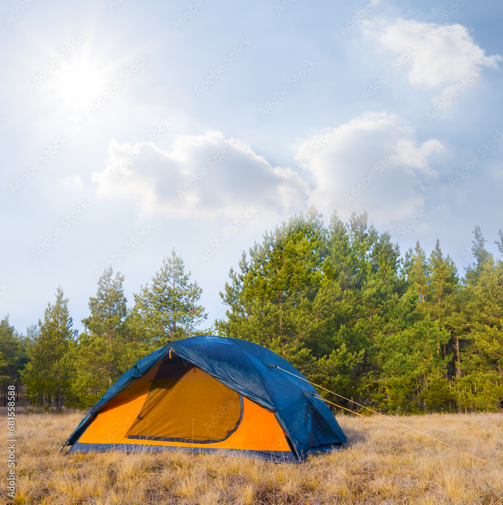 closeup touristic tent stay on forest glade at sunny day, beautiful outdoor travel scene