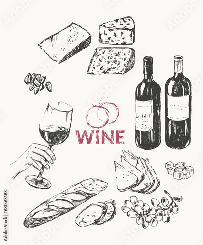 Hand drawn wine illustration set.