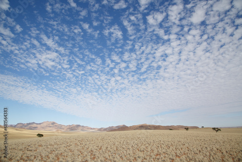 Namib landscape 