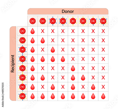 Abo Blood Compatibility Chart. Blood donation, ABO Blood groups droplets., four blood types, A,B, AB and O groups, made up from combinations of the type A and type B antigens. Vector Illustration.