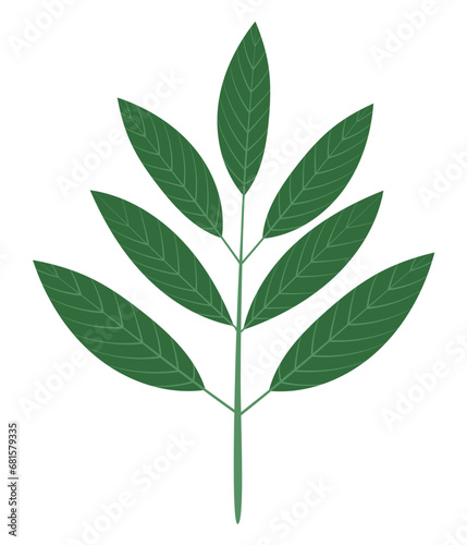 Simple branch with leaves, hand drawn isolated vector illustration in flat design