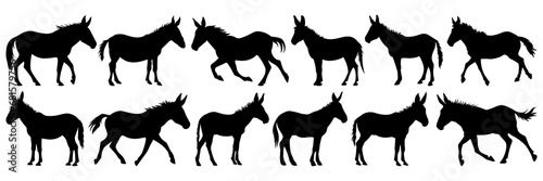 Donkey silhouettes set, large pack of vector silhouette design, isolated white background © FutureFFX