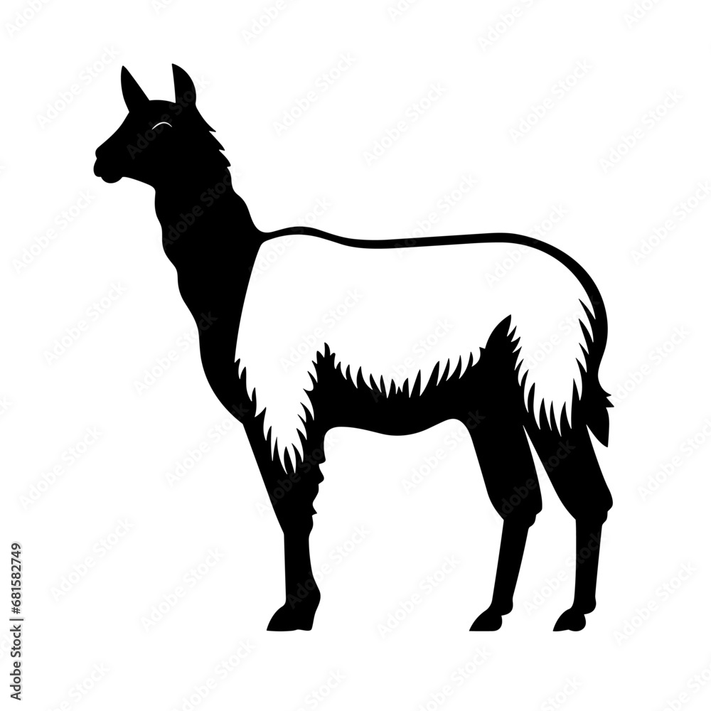Llama black icon on white background. Llama silhouette