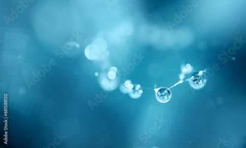 macrophotography of a spider web with a drop of water on a blue background. place for text