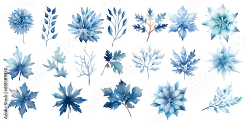 blue and white flowers and branches winter branches watercolor vector