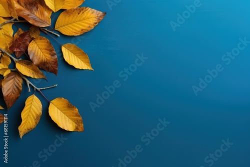  a branch of a tree with yellow leaves on a blue background with a reflection of the leaves on the water in the bottom right corner of the frame is the picture.