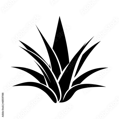 agave silhouette isolated vector