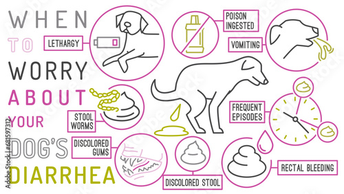 When to worry about the diarrhea in dogs.