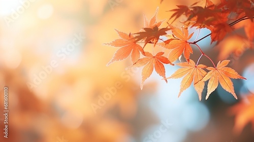 Beautiful maple leaves in the foreground on a sunny fall day in Kyushu, Japan, with a fuzzy background. Close-up, copy space, macro image, no people.