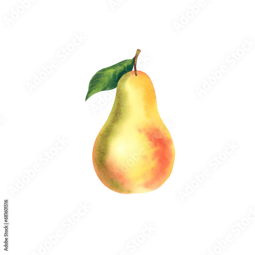 The pear is juicy. Watercolor illustration. Ripe fruit. Proper nutrition. Children's food. Icon, logo, stickers, printing.