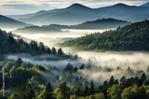  a forest filled with lots of green trees covered in a blanket of fog and smothers of low lying mist in the distance, with mountains in the distance.