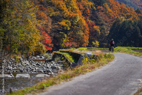 A cyclist enjoying riding by the river with beautiful scenery of autumn leaves in Kaida Kogen, Nagano Prefecture, Japan.