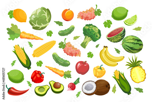 Big set of fruits and vegetables. Food  agriculture illustration  vector