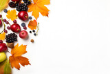 Autumn leaves and autumn fruits on white background with copy space