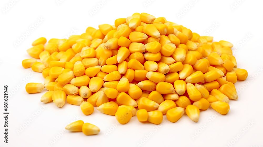 A tiny corn grain on a stark white background A tiny corn grain on a stark white background