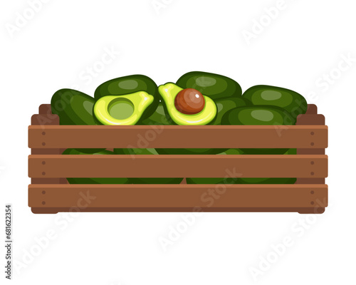 Wooden box with tropical avocados. Healthy food, fruits, agriculture illustration, vector