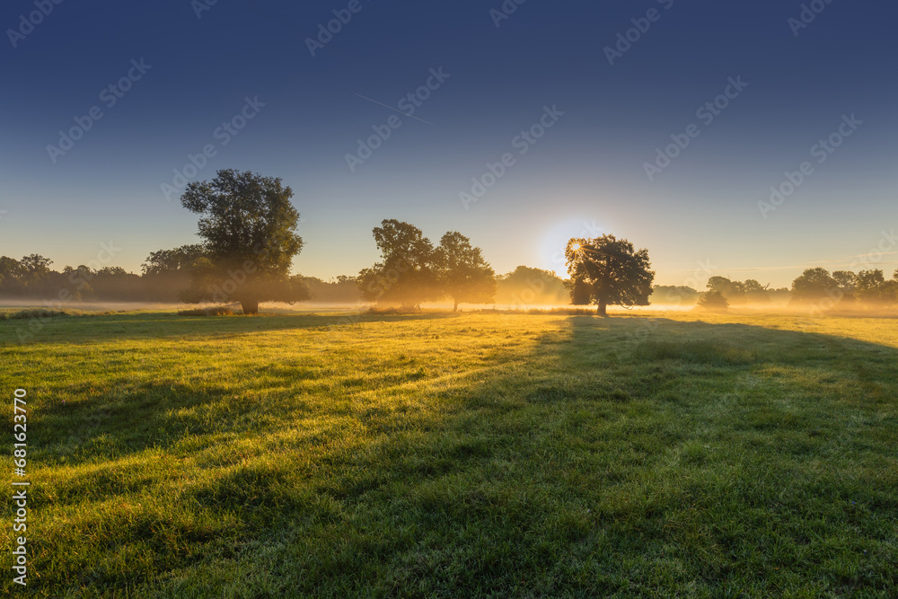 A beautiful autumn morning with low fogs on a meadow with trees through which the rays of the sun shine.
