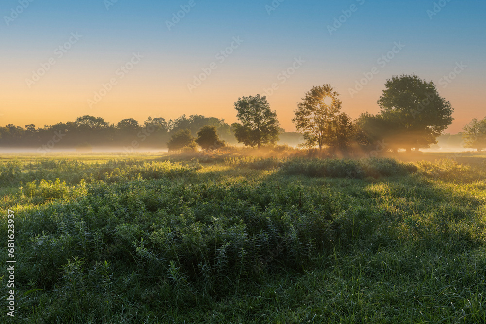 A beautiful autumn morning with low fogs on a meadow with trees through which the rays of the sun shine. A beautiful autumn morning with low fogs on a meadow with trees through which the rays of the sun shine.