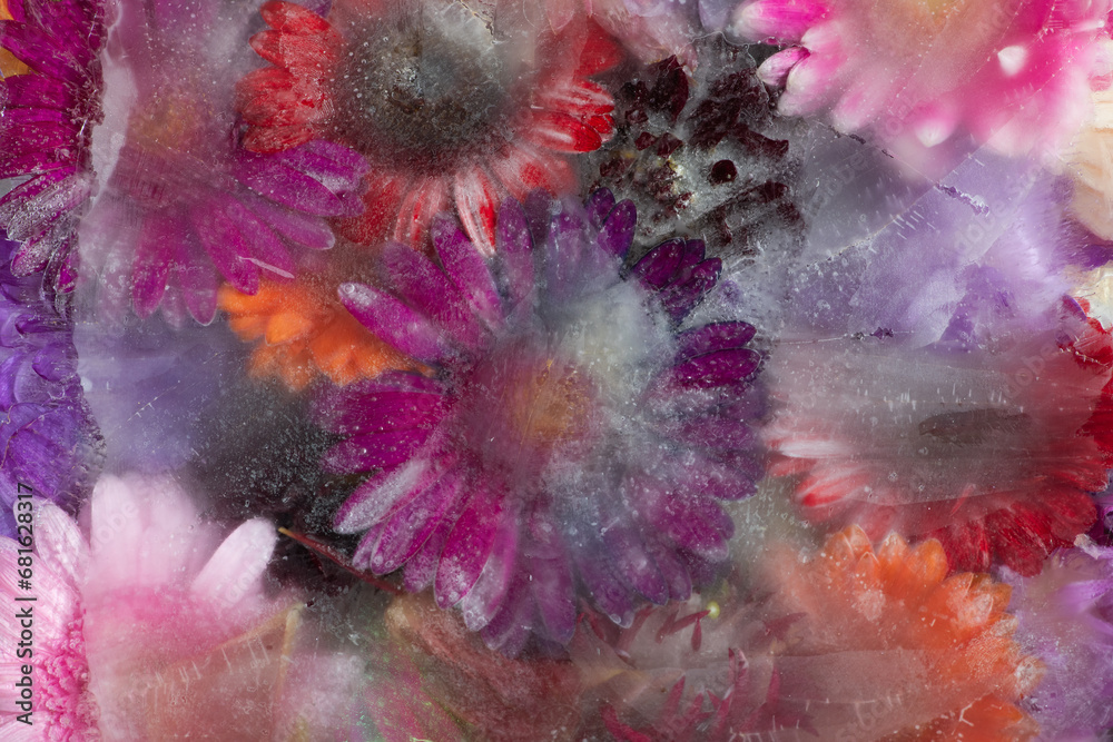 abstract colorful art background with summer flowers frozen in ice