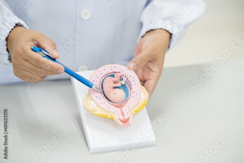 Gynecologist hand holding blue pen and pointing anatomy baby model on white background.Doctor holding baby doll explains to new mother about pregnancy in antanetal care unit.Medical education concept.