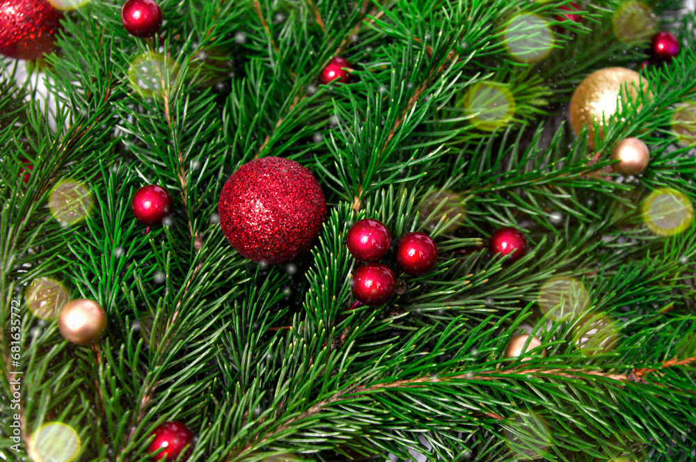 Christmas branch of natural spruce with red and gold balls close-up. Christmas background.