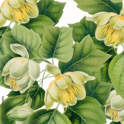 Floral design. Tulip tree. Digital floral watercolor vibes on textured white.