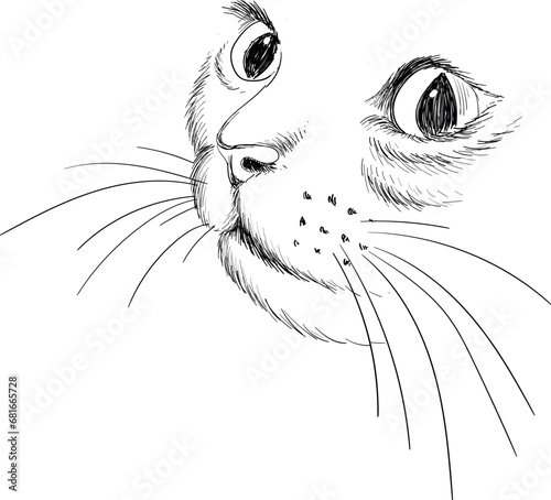 Cat vector art illustration T-shirt apparel tattoo design or outwear.  Cute print style kitten background. This hand drawing would be nice to make on the black fabric or canvas.