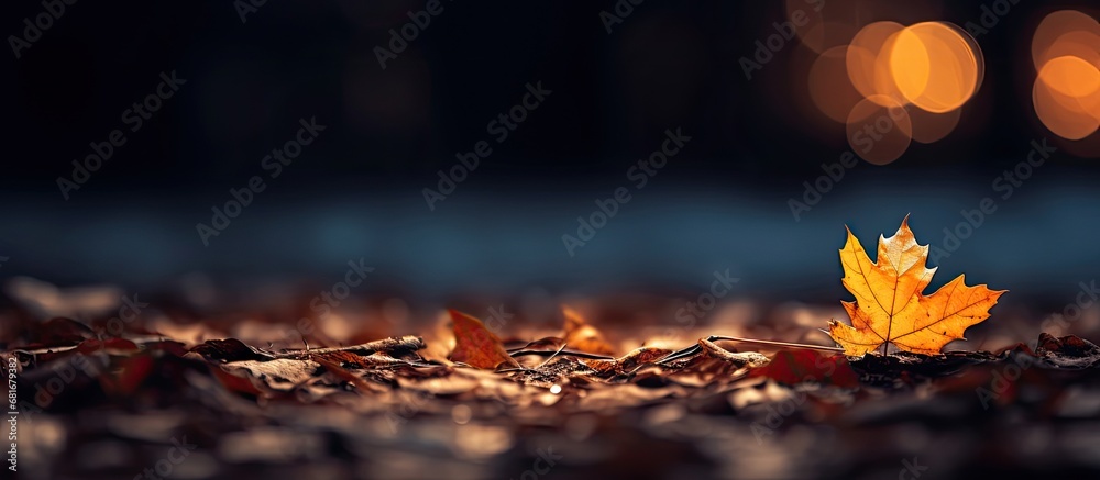 In the background of the autumn night, a lone leaf fluttered down, its golden hue fading as it settled on the ground, evoking a natural and emotional sadness in the evening. - obrazy, fototapety, plakaty 
